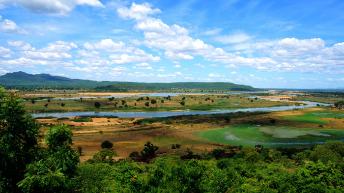 A geografia da Nigéria é caracteriza por paisagens com grandes áreas de planície, além de Floresta e clima Tropical.