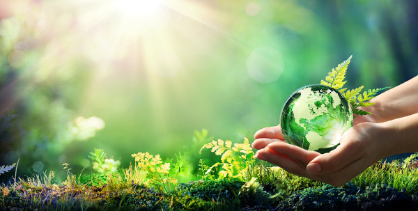 maos-segurando-globo Vista aproximada das mãos de uma pessoa segurando um globo de vidro em um ambiente de vegetação.