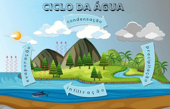 O ciclo da água corresponde à circulação da água em diferentes estados físicos.