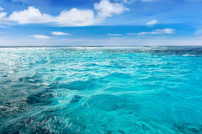 Diferença entre mar e oceano Apesar de serem grandes extensões de água salgada, mar e oceano não são sinônimos.